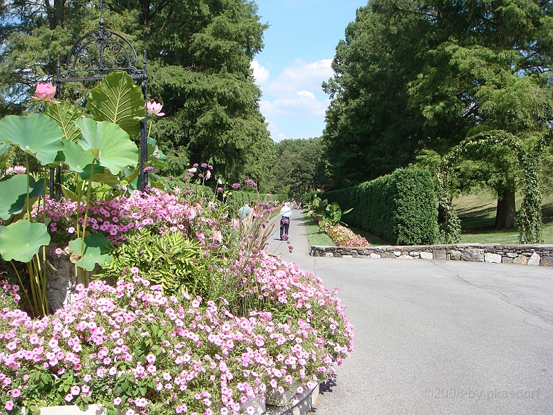009 Longwood Gardens [2008 August 23].JPG - Longwood Gardens in Pennsylvania